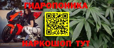 скорость Славгород