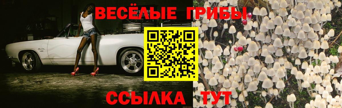 Псилоцибиновые грибы прущие грибы Орехово-Зуево